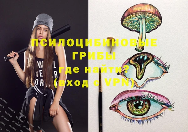 jwh Богородицк