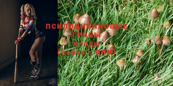 MDMA Premium VHQ Богданович