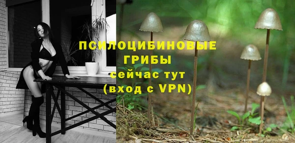 jwh Богородицк